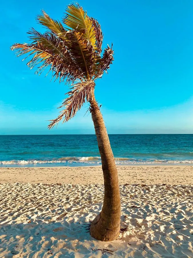 The Lookout At Coral Beach Apartment Freeport Bahamas
